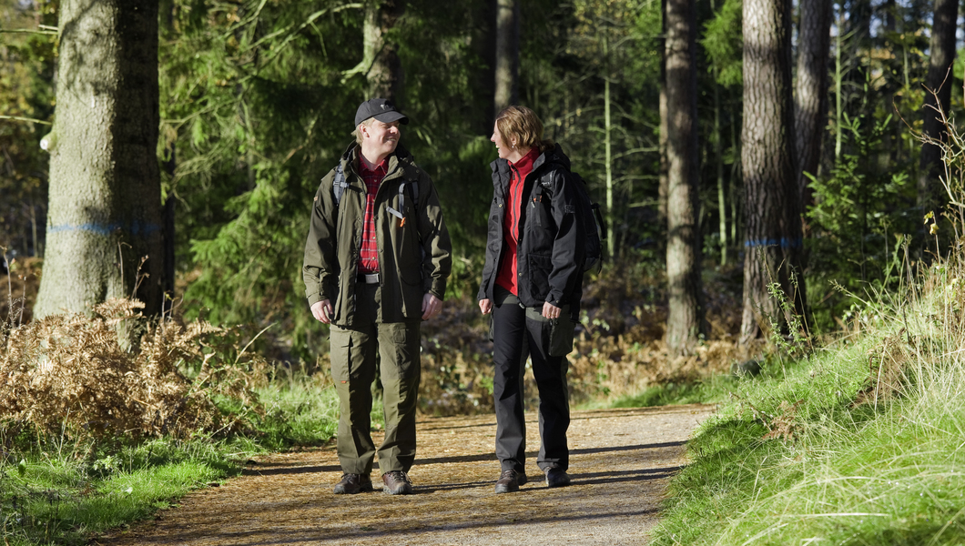 Pinewood header wandelend stel