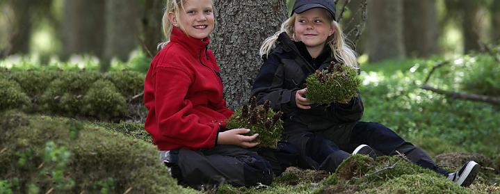 pinewood header kinderen in natuur